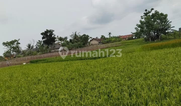 Di Jual Tanah 150000M2 (15Ha) Lokasi Serang Cikande