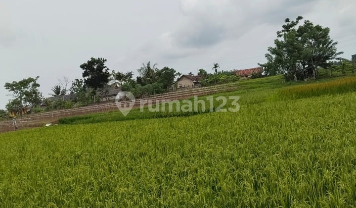 Di Jual Tanah 150000M2 (15Ha) Lokasi Serang Cikande