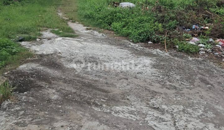 Di Jual Lahan Kosong 75000M2 Lokasi Nempel Jl Raya Serang Kragilan