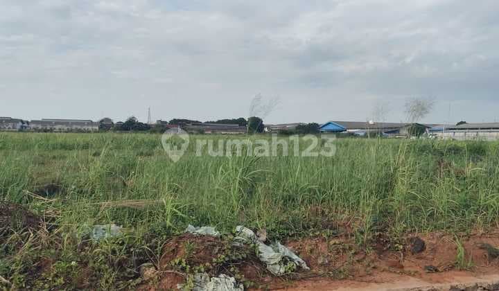 Dijual Tanah Industri Siap Bangun Pasar Kemis Cikupa Tangerang 2 Ha Dekat Pintu Tol Cikupa