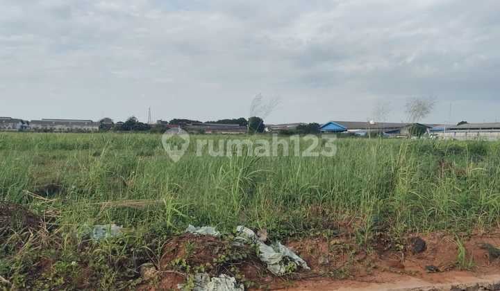 Dijual Tanah Industri Siap Bangun Pasar Kemis Cikupa Tangerang 2 Ha Dekat Pintu Tol Cikupa