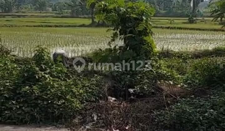 Dijual Lahan Industri Balaraja 5 Ha Akses 40 Ft 3,2 KM Tol Balaraja Barat