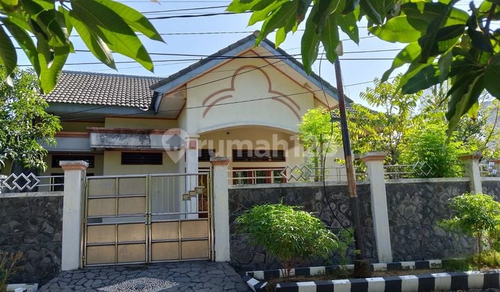 Turun Harga Lagii dan Lagi!! Jual Cepat!! Rumah Tua Hitung Harga Tanah Jalan Panjang Jiwo Permai Surabaya