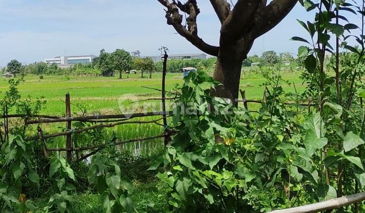 Tanah Dalam Kawasan Industri 30 Ha Lokasi Bagus Sebelah Modern Cikande Serang Banten