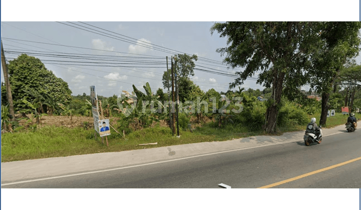 For Sale Land 2.5 Ha 5 Ha In Karang Joang