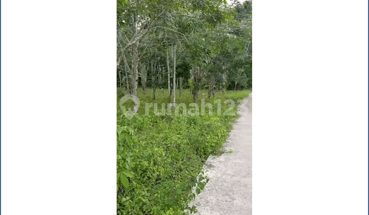 Land For Sale In Lamaru