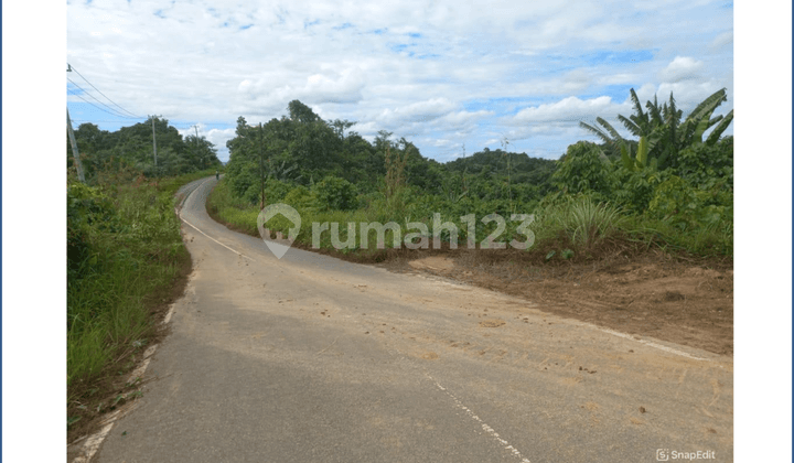 Dijual Tanah Di Daerah Sepaku, Penajam Paser Utara