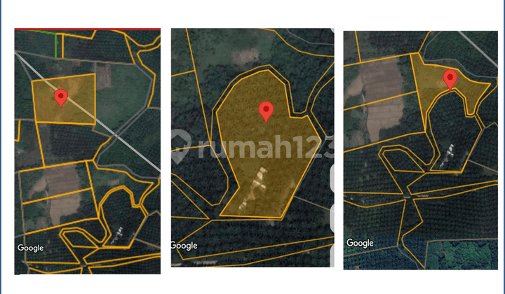 Strategic Land for Sale in Sepaku, Near IKN, Ideal for Long-Term Investment