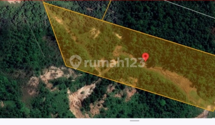 For Sale: Land 43,360 m² + 45,090 m² in Kariangau - Hm