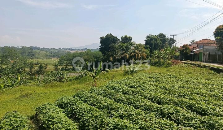 Tanah Pinggir Jalan Sukamakmur Ada Aliran Sungai Shm Best View