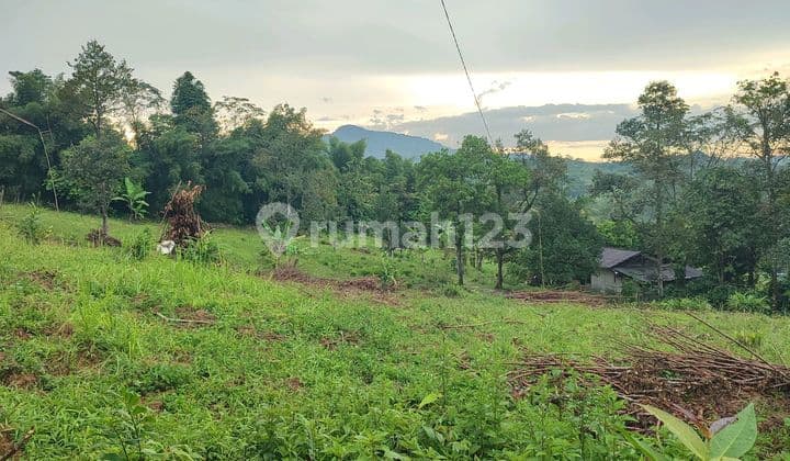 Land, SHM, Flood-Free, in Sukamakmur East Bogor