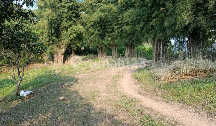 Land with Mountain View in Sukamakmur – Suitable for Investment