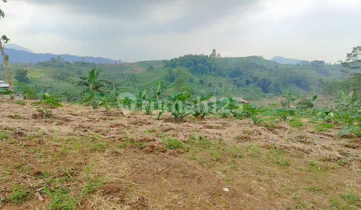 Tanah Shm Pinggir Jalan Raya View Bagus Di Sukamakmur