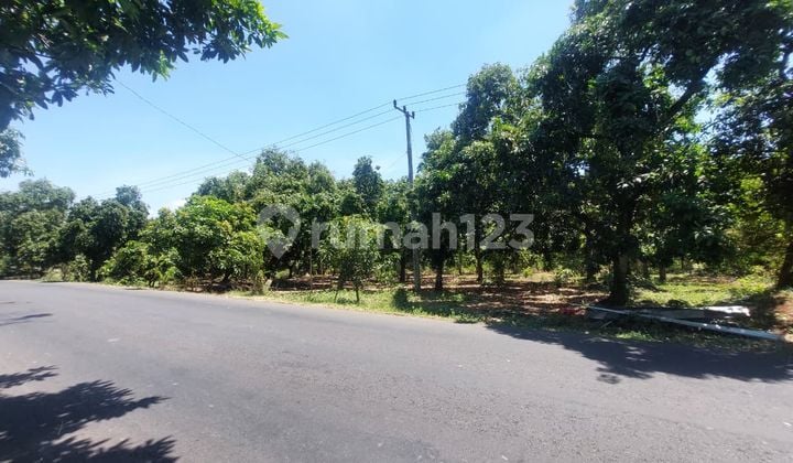 Tanah Dijual di Pasuruan Jawa Timur Luas 2005m² SHM