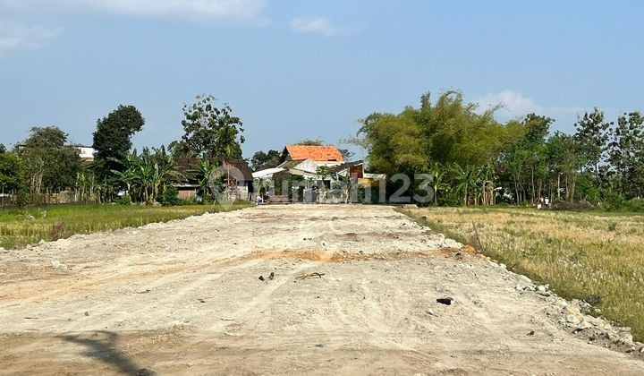 Tanah Mangku Aspal, Cocok Villa Dan Hunian, View Sawah Jogja