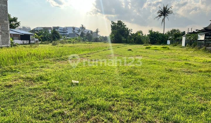 Tanah Kota Jogja Cock Hunian Dan Villa SHMP Langsung Pemilik