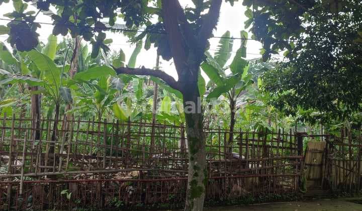 Jarang Ada Tanah Setramurni Bandung Utara Dekat Tol Pasteur
