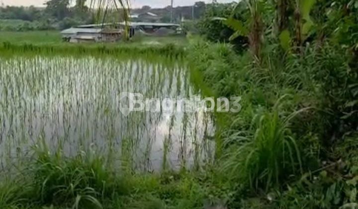 Tanah Hook Pinggir Jalan Utama Bypas Ida Bagus Mantra Sedayu Klungkung