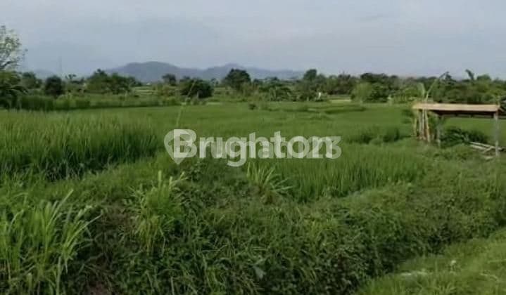 Tanah View Gunung, Sawah dan Laut Dekat Jalan Utama Ida Bagus Mantra Sedayu Takmung Klungkung