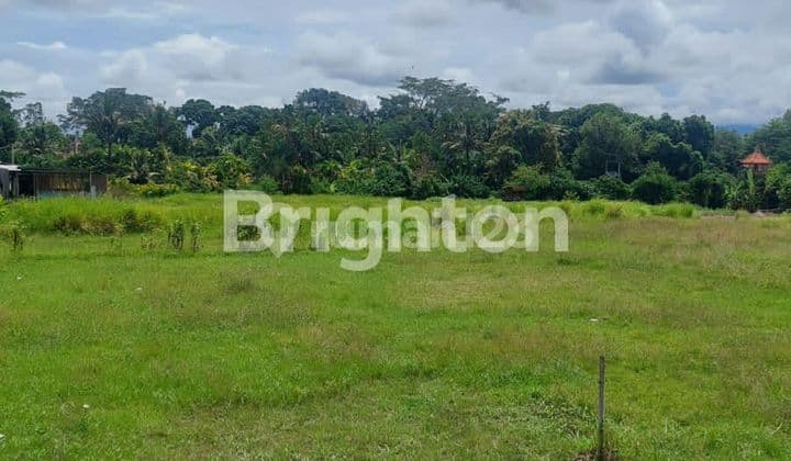 LAND IN CEPAKA
