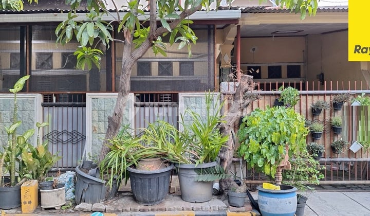 Dijual Rumah SHM di Kedung Asem Rungkut Surabaya Dijual Rumah SHM di Kedung Asem Rungkut Surabaya