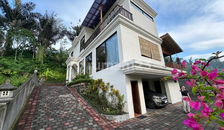 Dijual Cepat Villa di Gianyar Bali Pemandangan Sawah