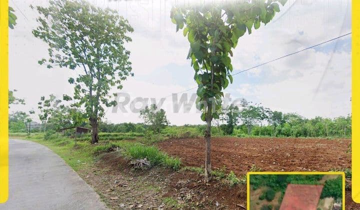 Tanah Pekarangan Siap Bangun,, Jeruksawit Gondangrejo, View Bagus Dan Sejuk