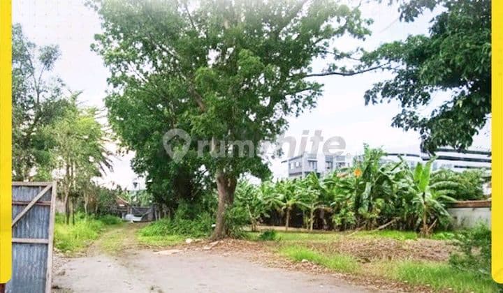 Tanah Solo Baru, Dekat Pakuwon Mall Dan The Park Mall, Cocok Untuk Rumah Mewah