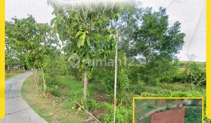 Tanah Pekarangan Jeruksawit Gondangrejo, Siap Bangun, Cocok Untuk Rumah Murah