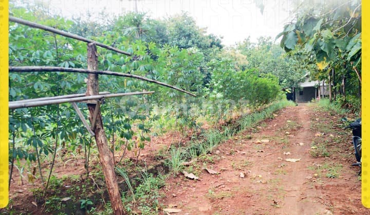 Di Jual Tanah di Polokarto, Sukoharjo