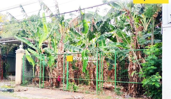 Di Jual Tanah di Ngemplak, Boyolali