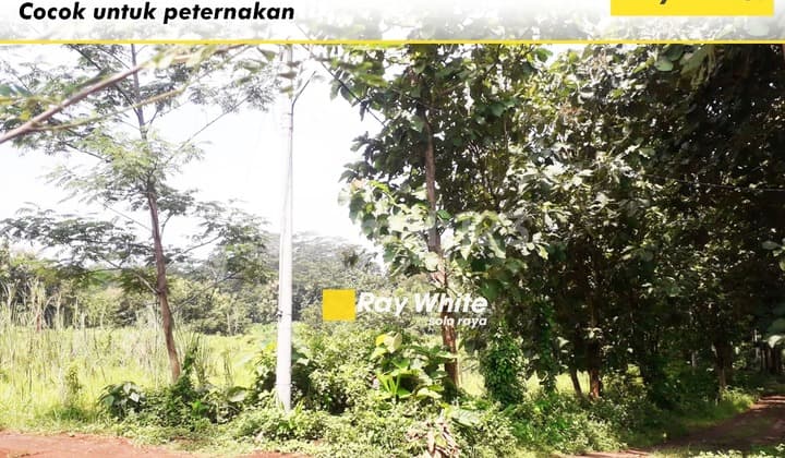 Di Jual Tanah di Jumantono, Karanganyar