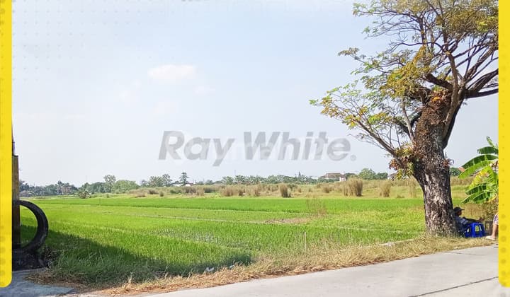 Di Jual Tanah di Wonosari, Klaten