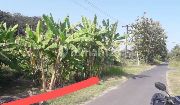 Di Jual Tanah di Ngrombo, Baki
