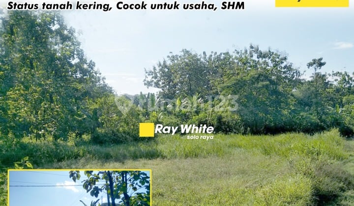 For Sale Land in Ngrombo, Baki