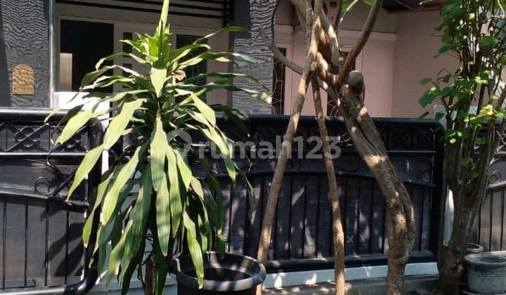 Rumah Palm Spring Jambangan