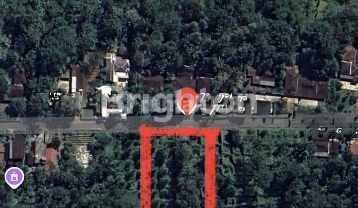 TANAH PEKARANGAN DI KARANGANYAR, COCOK UTK BERCOCOK TANAM DAN BERKEBUN