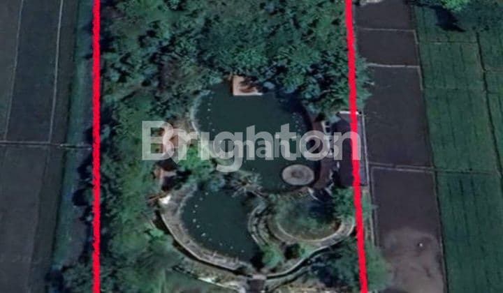 RUANG USAHA DI KARTASURA, LOKASI BAGUS DAN MEMILIKI KOLAM LUAS, COCOK UTK KULINER DAN TEMPAT HEALING!! ISTIMEWA