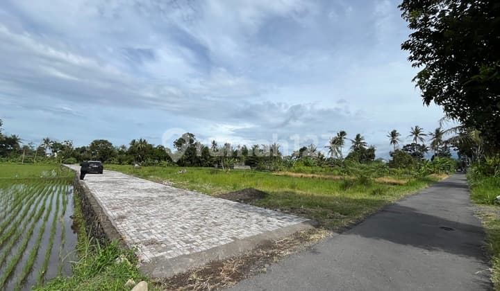 Tanah Kaliurang Strategis, 5 Menit Kampus Uii dan Kopi Klotok Jogja