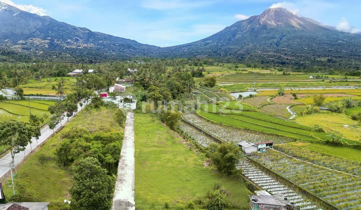Tanah Kavling Dekat Tol Palbapang - View Merapi & Sawah, 10 Menit ke Borobudur