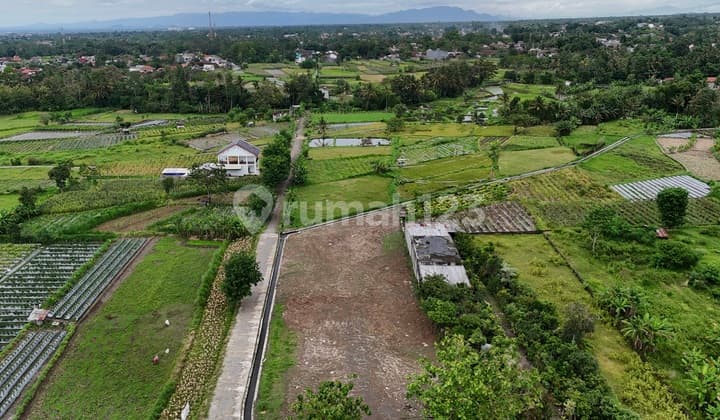 Kavling Jakal KM 12 (5 Menit Pawon Mbah Gito)