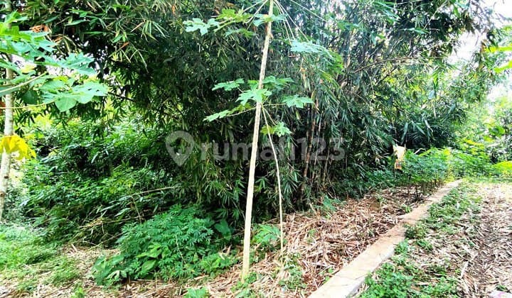 Tanah Pekarangan di Tengah Kampung Karanganyar