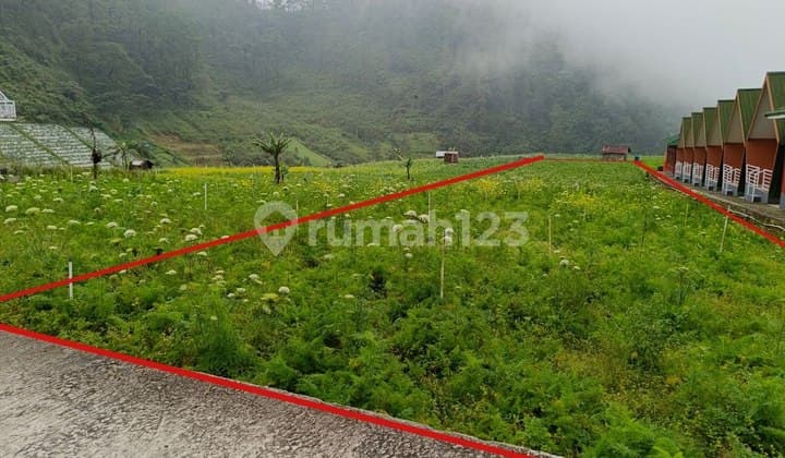 Tanah Pekarangan di Kawasan Wisata Dijual