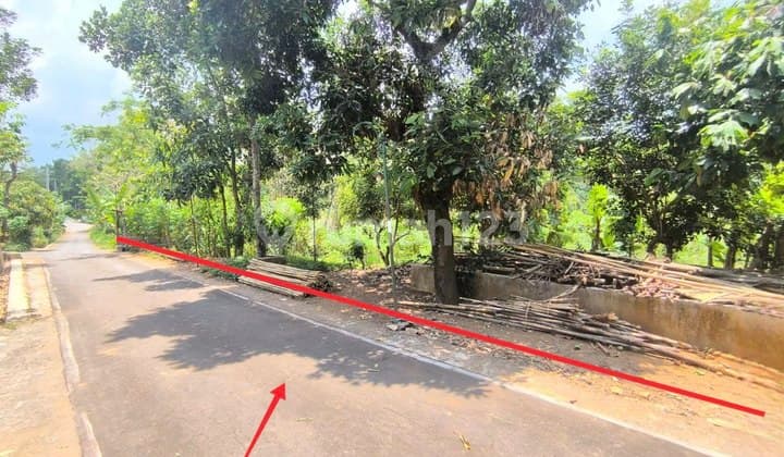 Tanah Luas Status Pekarangan Cocok Untuk Villa