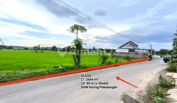 Tanah Lahan Shm Kering Zona Kuning Cocok Untuk Perumahan