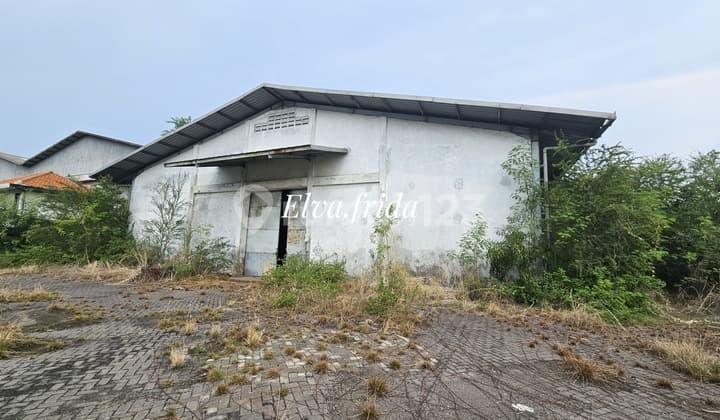 Dijual Cepat Gudang Jumbo di Margomulyo Indah 1 Surabaya