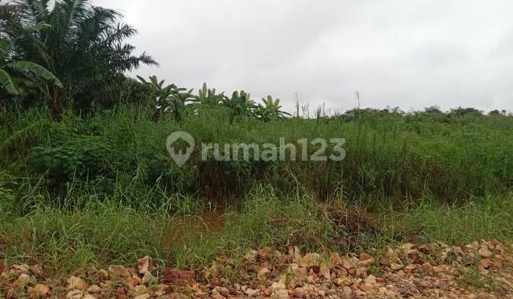 Tanah Strategis Di Teluk Lingga Sangatta