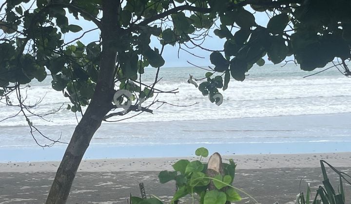 Jual Tanah Los Pantai Luasan Kecil Di Tabanan Bali