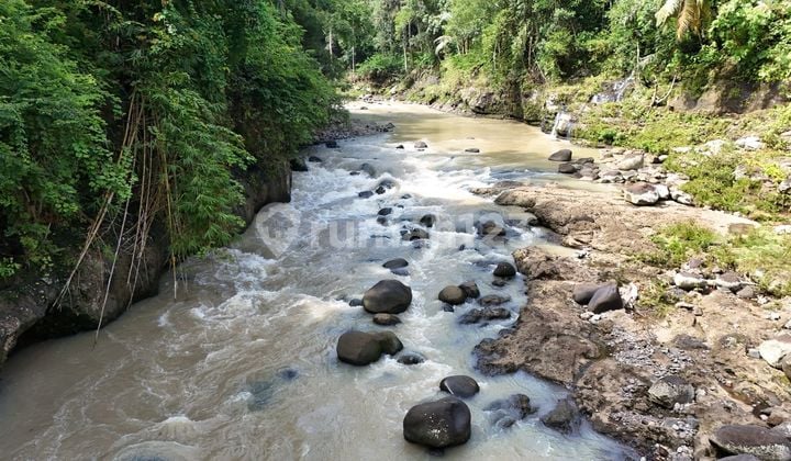 For Sale River Large Plot Land in Tabanan