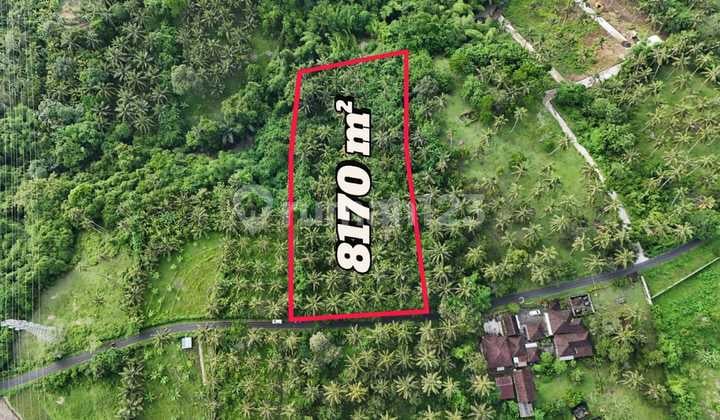 Dijual Tanah Los Sungai di Tabanan Bali